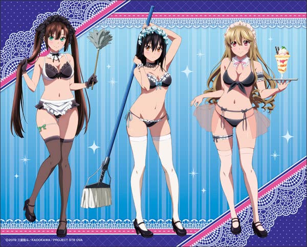 Amazon.co.jp: ストライク・ザ・ブラッド FINAL 描き下ろしキャンバス