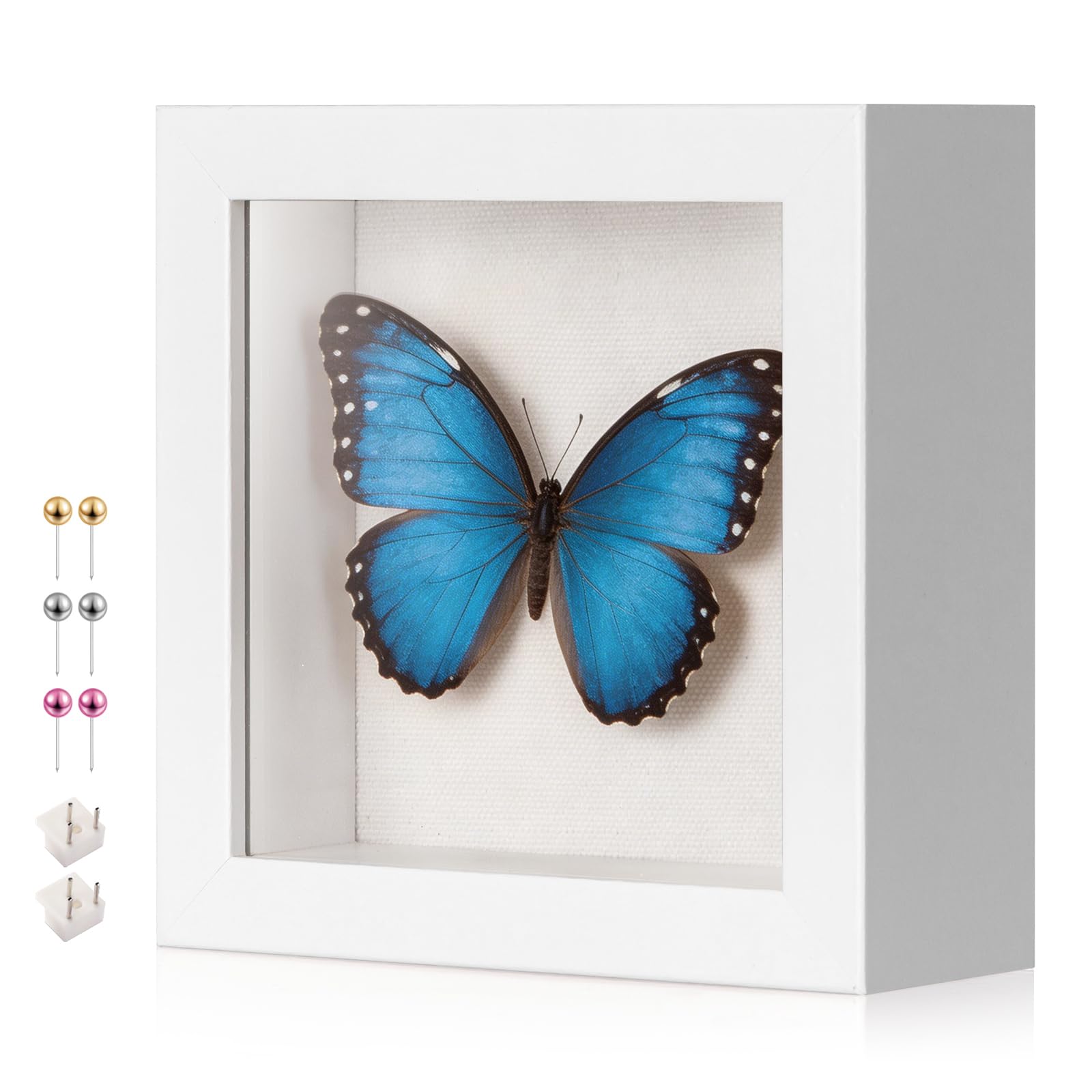 MGLIFEUL 4x4 Mini Shadow Box Frame with Shatterproof Clear Glass & Push Pin