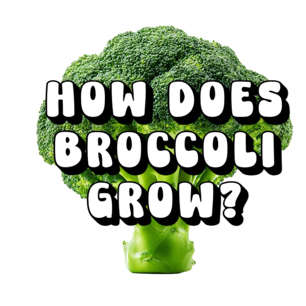 How Does Broccoli Grow?