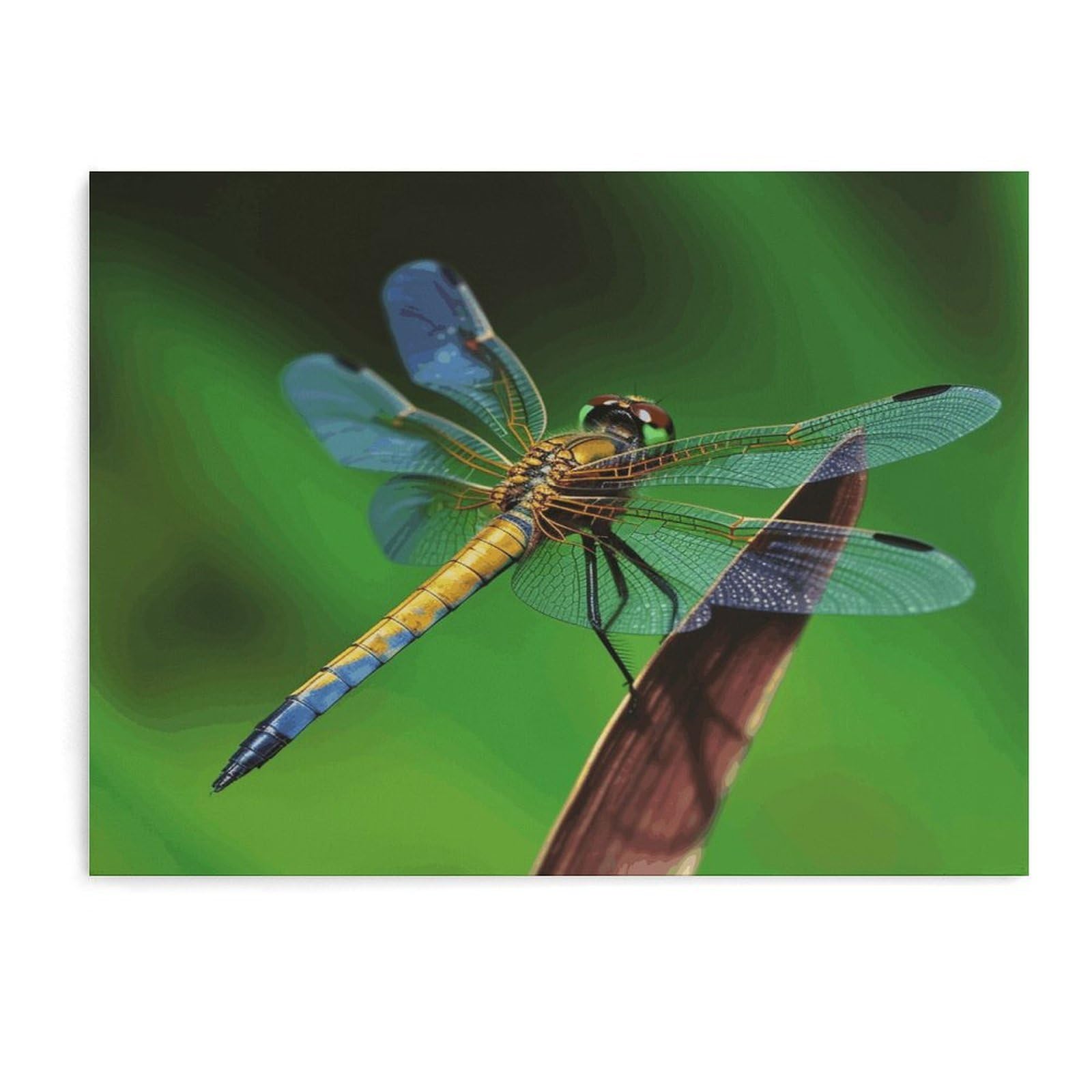 Fodpand Unframe-Style Dragonfly Bathroom Wall Art Canvas Prints, Artwork For Walls For Living Room Hallway Stair Office Wall Decor, Pictures Home Decor 15.7X11.8 Inch
