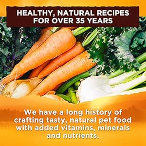   Natures-Recipe-Grain-Free-Wet-Dog-Food-Variety-Pack-275-Ounce-Cup-Pack-of-12