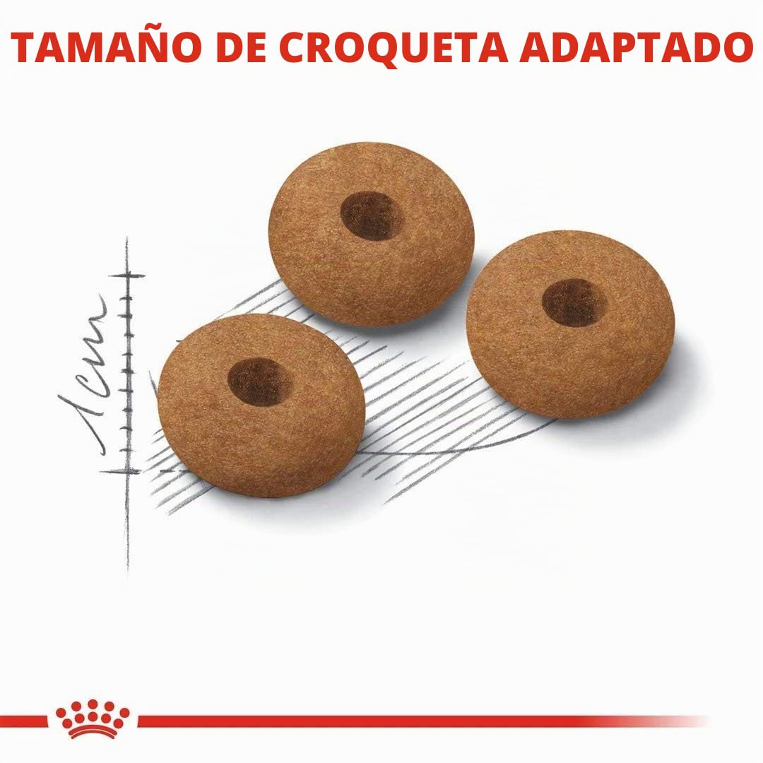 Royal Canin Alimentos Secos para Gatos esterilizados Control de apetito 7 Plus 3,5 kg