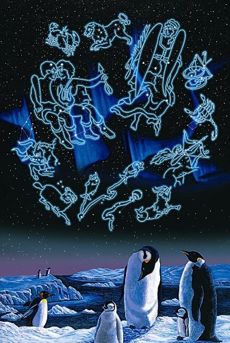 TOMAX Notte stellata, puzzle fosforescente, 1000 pezzi