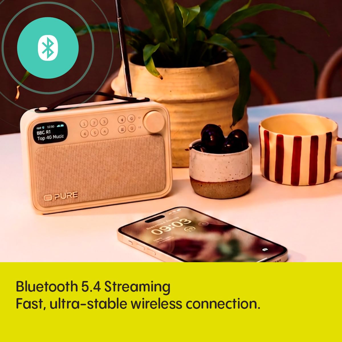 Pure Bloom DAB+ Radio Bluetooth Haut-parleur 5.4 10 W Batterie 16 heures