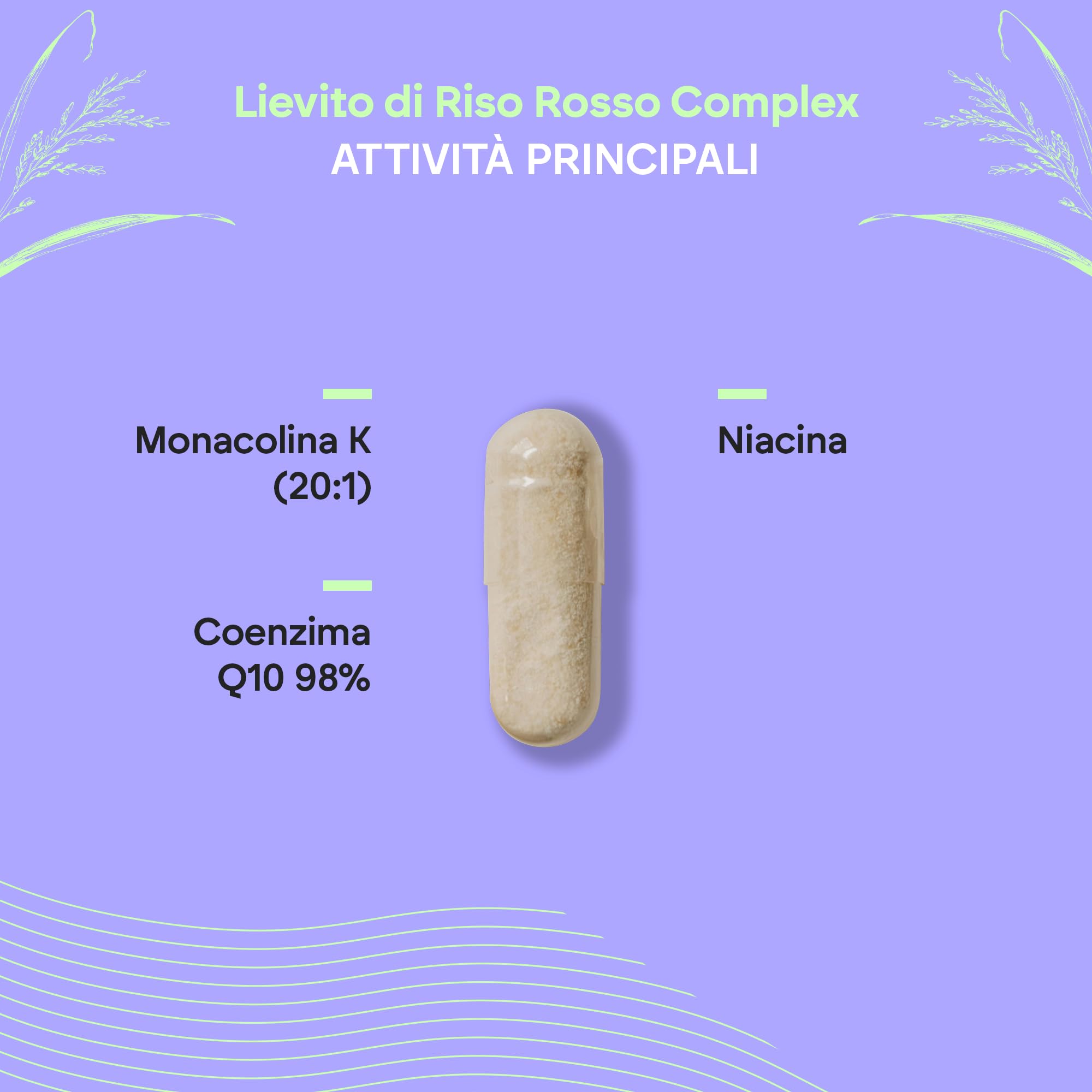 Riso Rosso Fermentato 2,9mg Monacolina K + Q10 + Vit C E - Lievito di Riso Rosso Fermentato - Red Yeast Rice 90 Capsule Veganes Nutralie
