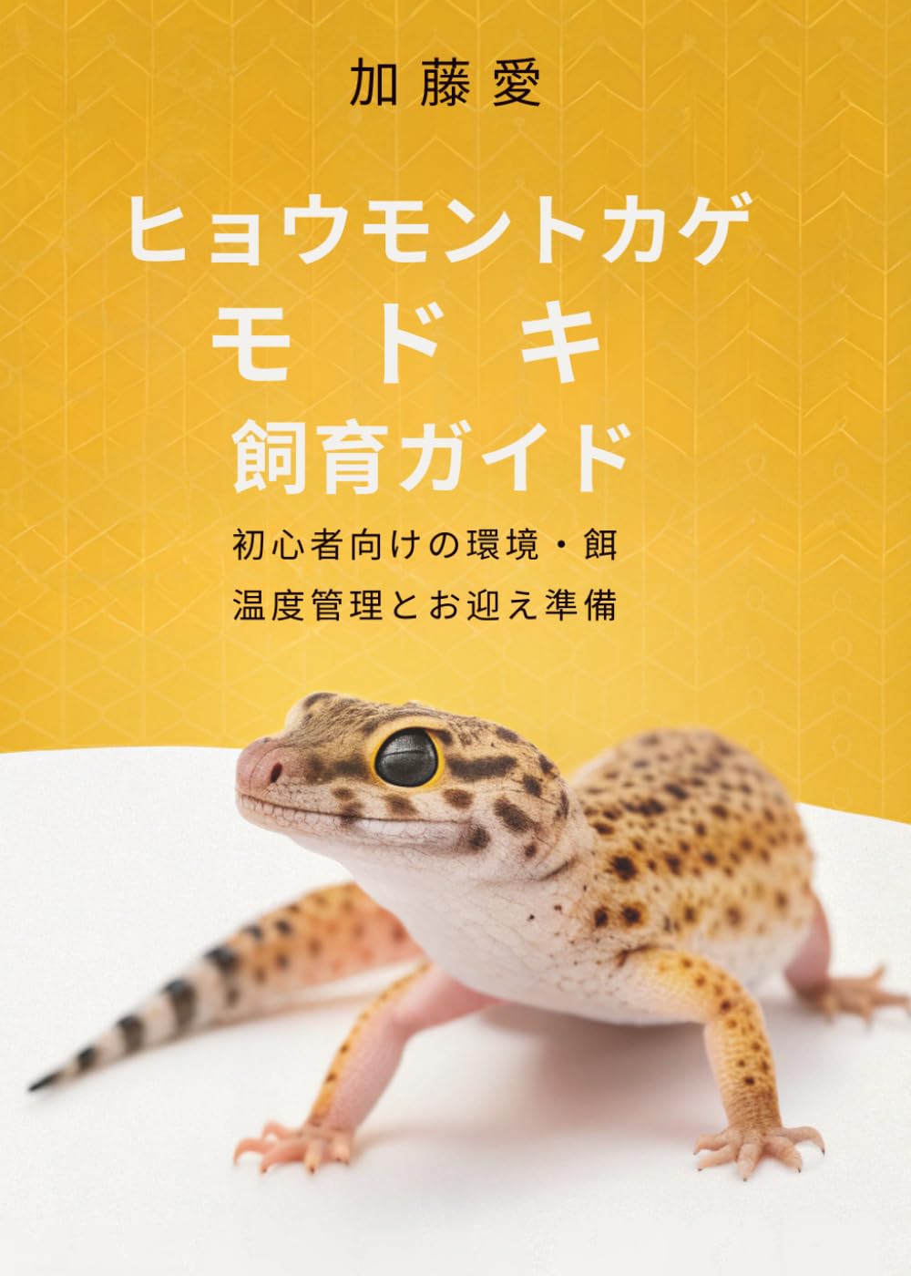 ヒョウモントカゲモドキ飼育ガイド: 初心者向けの環境・餌・温度管理とお迎え準備