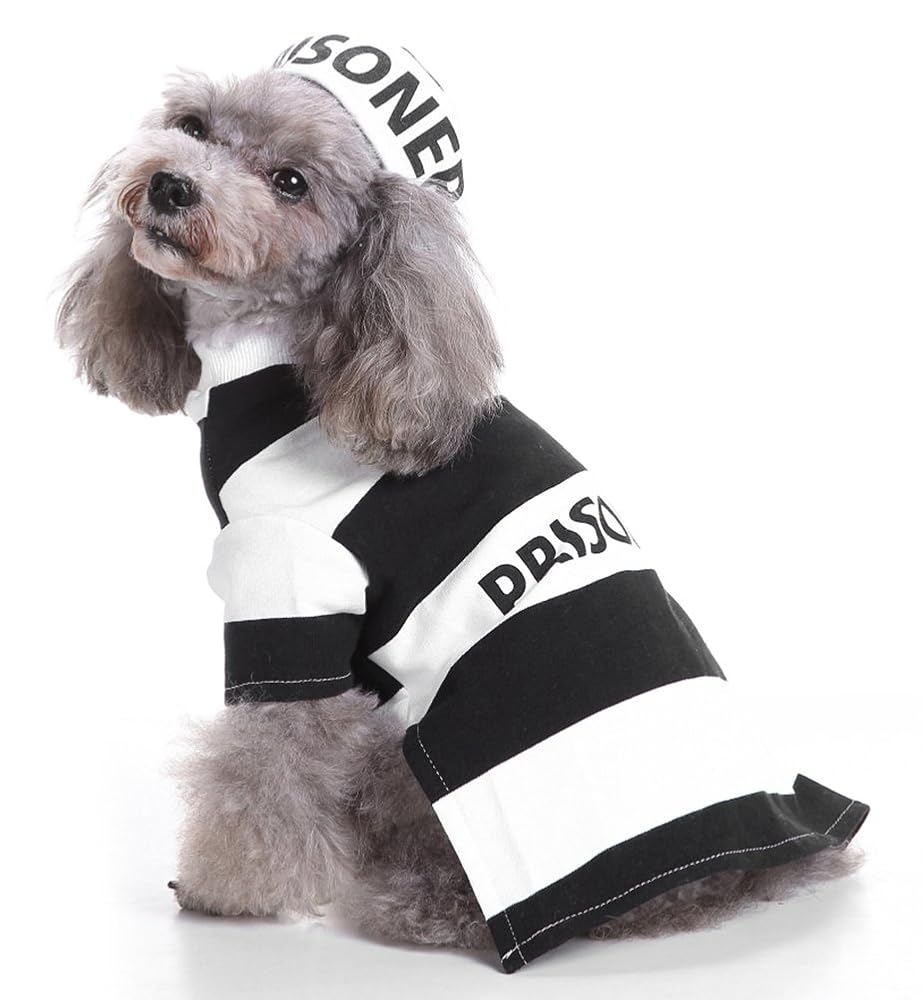 Halloween Fancy Prisoners Dogs Cats Warm Costumes with Hat for Teddy, Pug, Chihuahua, Shih Tzu, Yorkshire Terriers, Papillon D-Black/White M