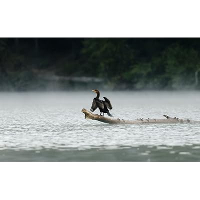 ubuy Guatemala
