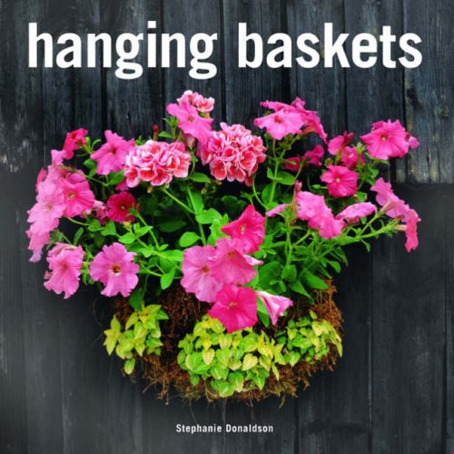 Hanging Baskets Buy Online at Best Price in Egypt Souq is now Amazon.eg