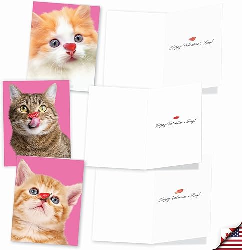 Miniatura 3 de The Best Card Company - 20 tarjetas de notas para el día de San Valentín en caja surtidas con sobres (4 x 5.12 pulgadas) - Heart Cats AM9266VDG-B2x10