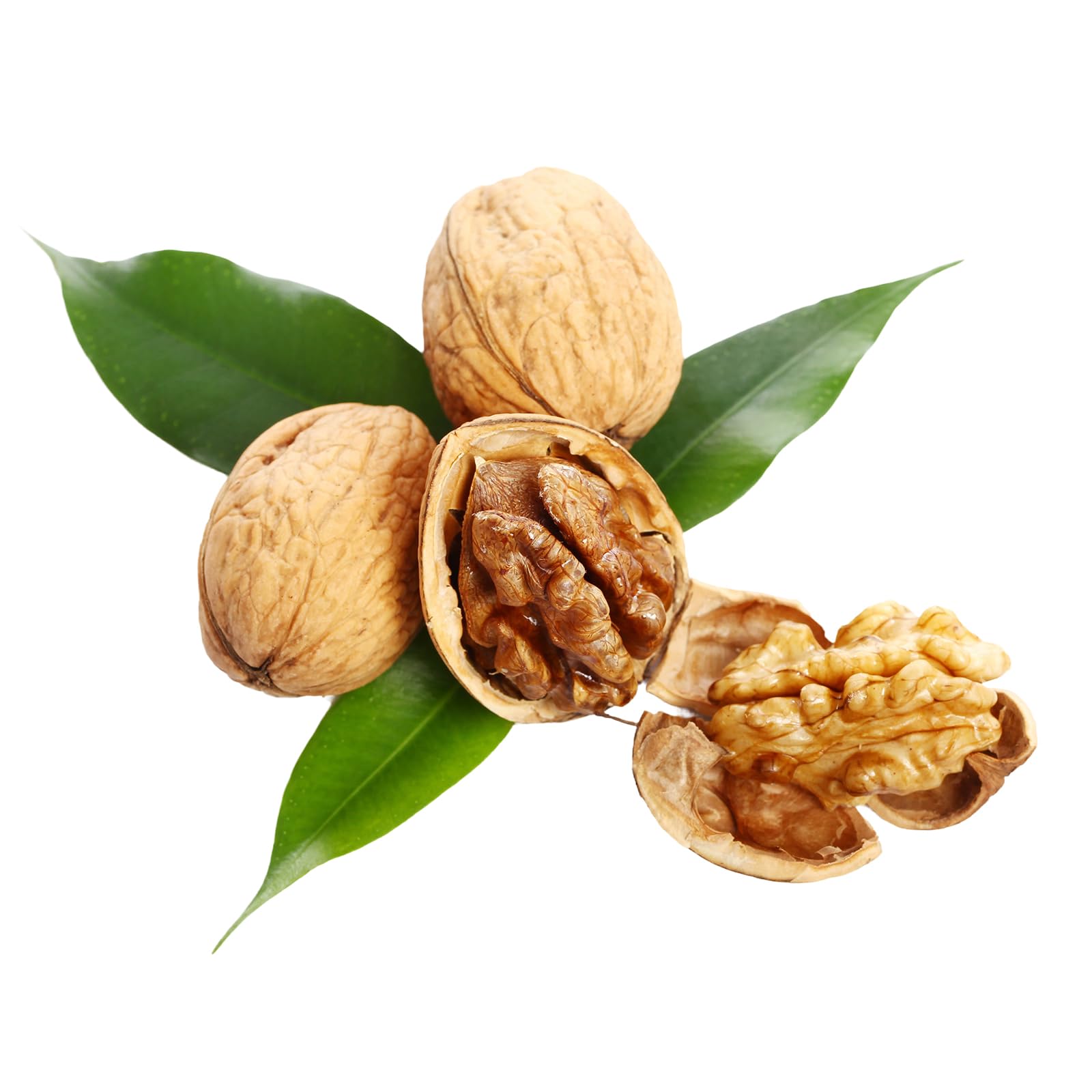 Natural Food Delicious Walnuts in Shell - Vegan, Naturally Untreated- Valuable Essential Fatty Acids - For Muesli, Desserts, or Salads - 2kg Package