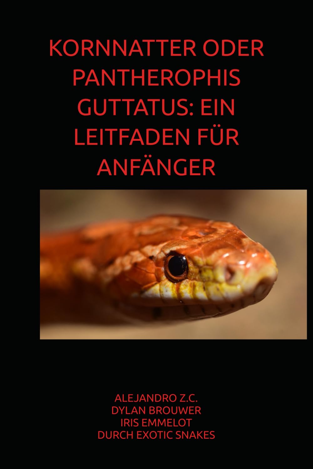 KORNNATTER ODER PANTHEROPHIS GUTTATUS: EIN LEITFADEN FÜR ANFÄNGER