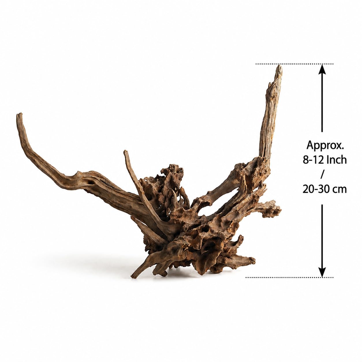 emours Bois flotté naturel pour aquarium, bois flotté unique pour décoration d'aquarium, terrarium et reptile, 1 pièce (20-30 cm)