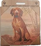 E&S Imports Ceramic Coaster - Vizsla (2)