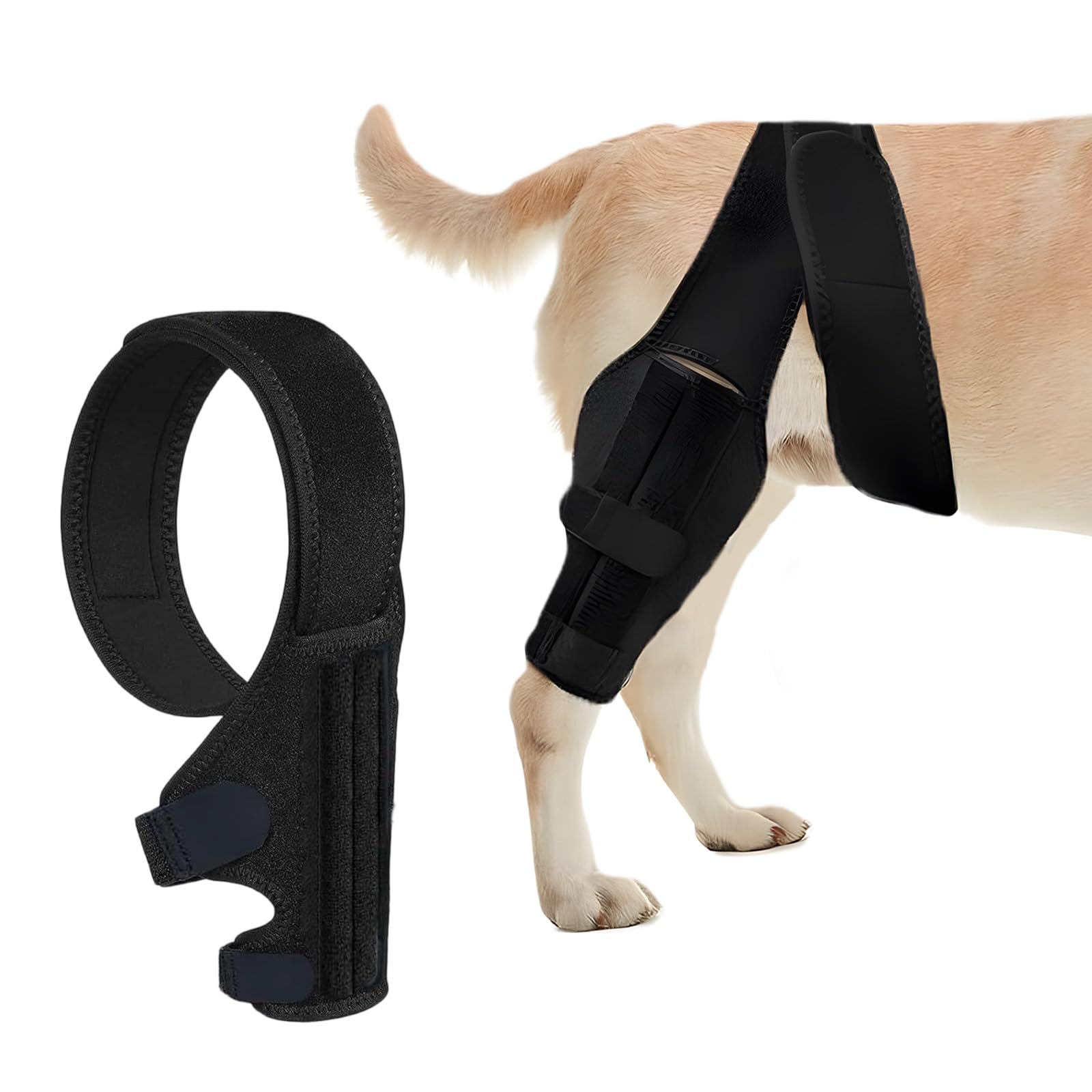 Amazon.co.jp: HACRAHO 犬用膝サポーター 前十字靭帯断裂用 後脚用 ACL