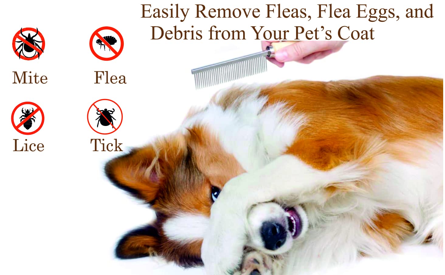 VetSafe Flea and Tick Comb for Pets, Dog and Cat (Color May Vary) 1
