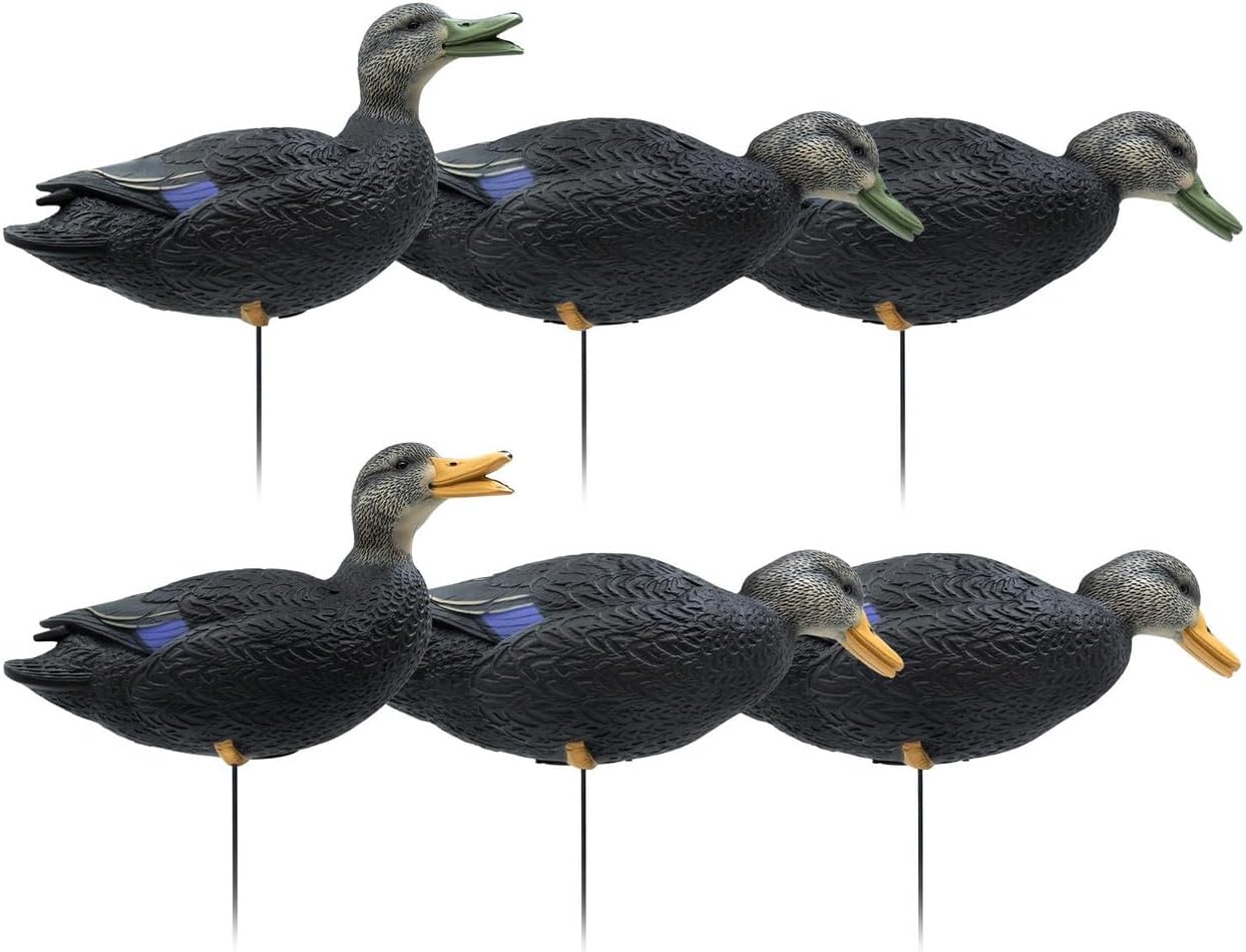 Final Approach HD Full Body Black Duck Decoys, 6 Pack
