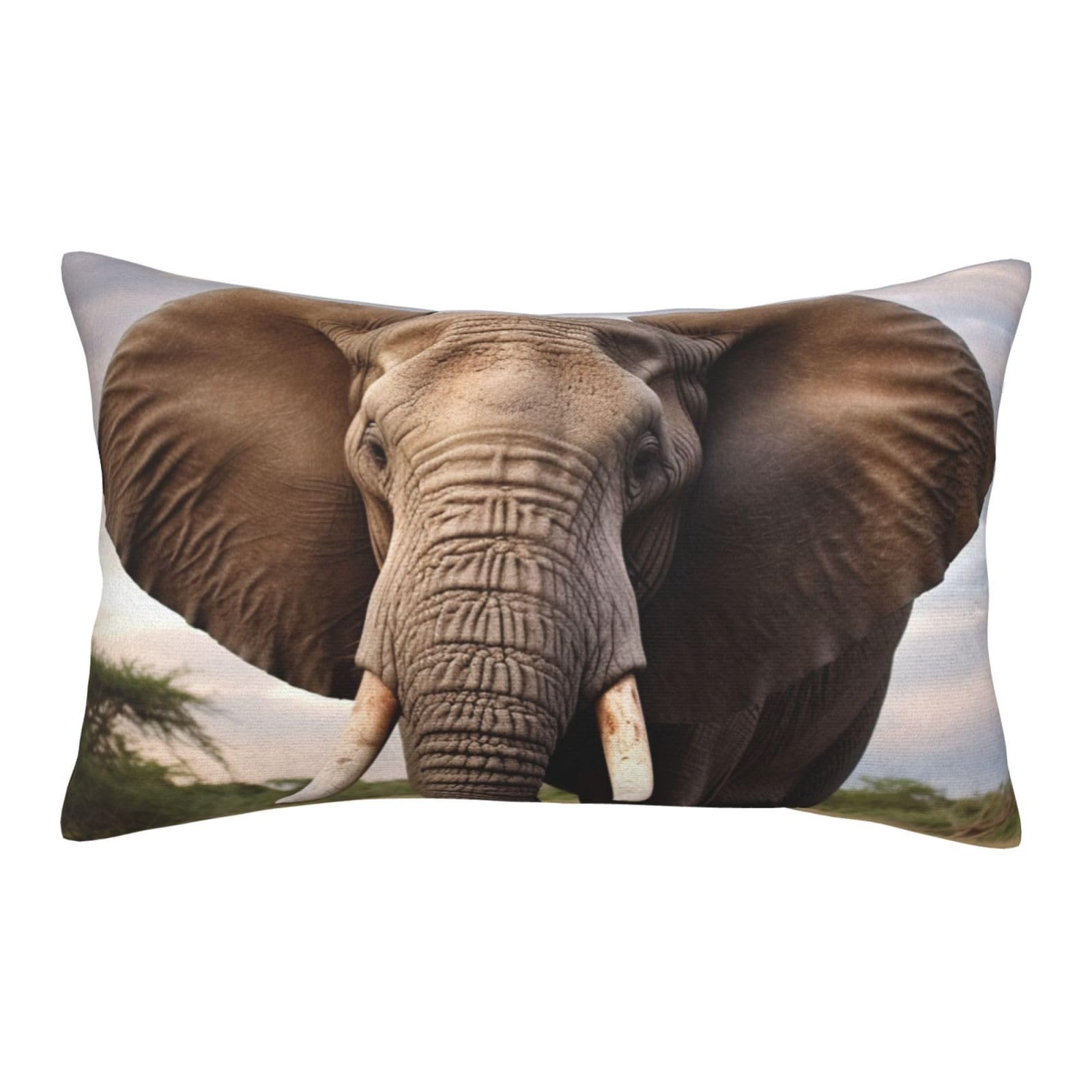 Velvet Pillowcases 20"x30" Ultra Soft Breathable Pillow Cases, Luxury Fuzzy Throw Pillow Covers with Zipper, Elephant Animal Pillow Shams All Seasons Decorative Cushion Cases for Couch