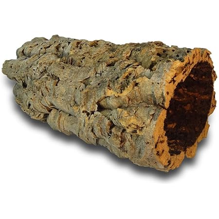 reptile cork