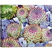 SIGNWIN Canvas Wall Art Green Sempervivum with Red Pointed Tips Succulent Botanical Plants Photography Modern Art Tropical Group Colorful Ultra for Living Room, Bedroom, Office - 12x18 inches