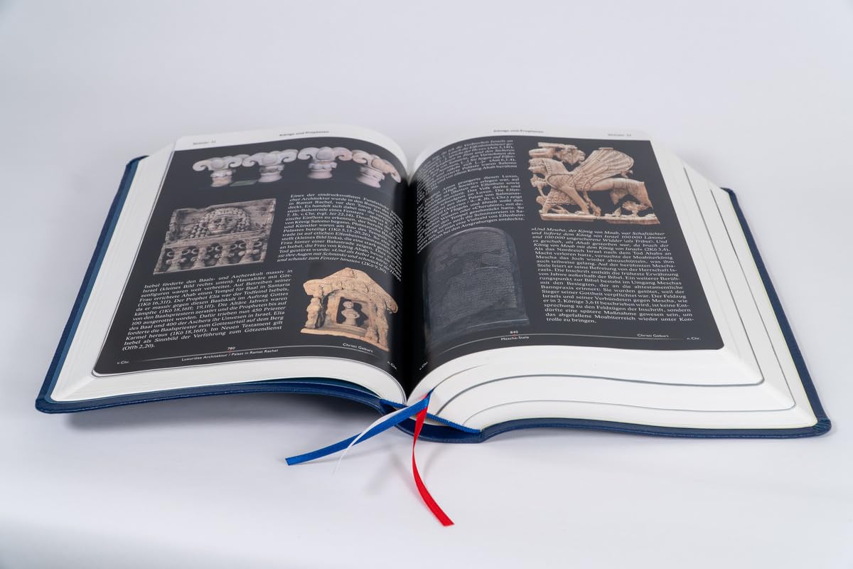 Elberfelder Bibel mit Erklärungen - Leder: und Fotos zur Welt der Bibel