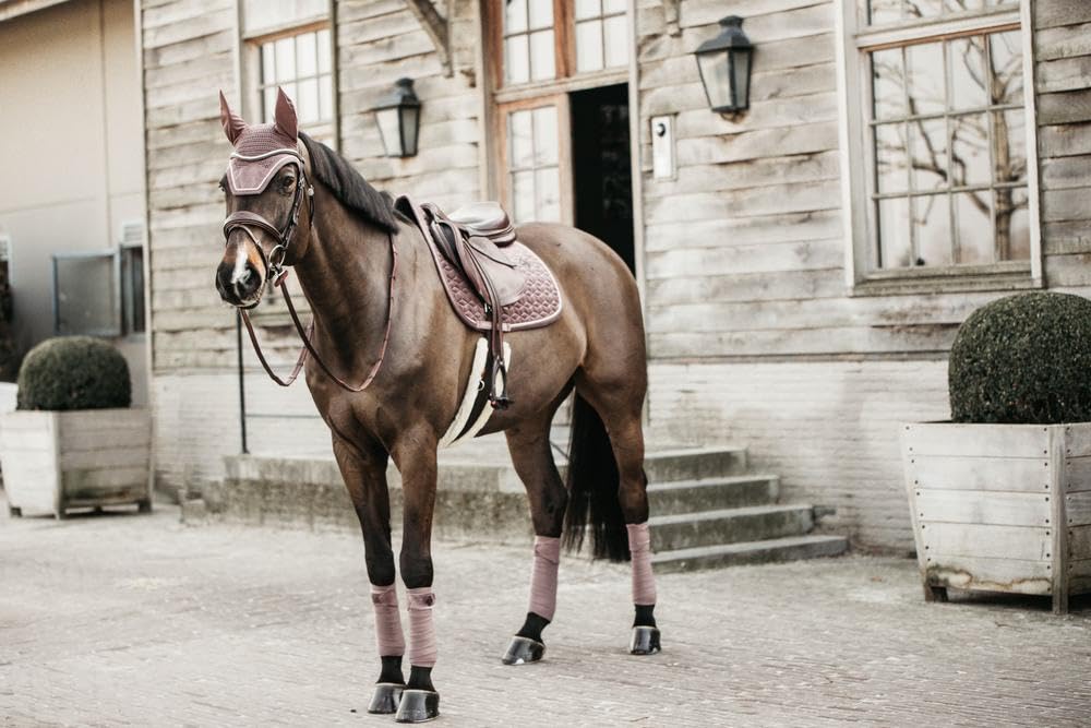 Kentucky Tapis de selle Velours violet clair