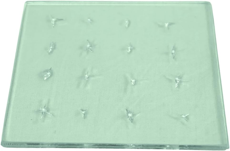 Clearshield Practice Windshield Glass (Pre-Chipped) for Windshield and Rock Chip Repair