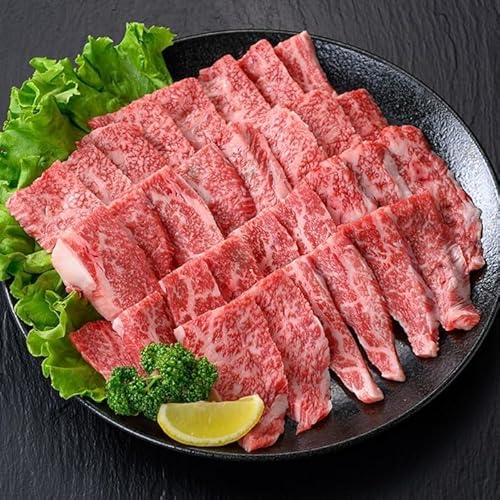 (株)フロンティアロード 瑞穂牛焼肉セット 約500g 2026年3月発送 牛肉 国産 焼肉