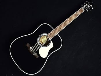 Amazon | James J-450D/Ova Black アコースティックギター