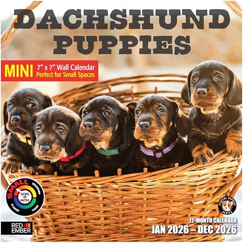 RED EMBER Dachshund Puppies 2026 Mini Wall Calendar 12 Month | 7" x 14" Open | Thick & Sturdy Paper | Giftable | Cute Weiner Puppy Dog Calendar 2026