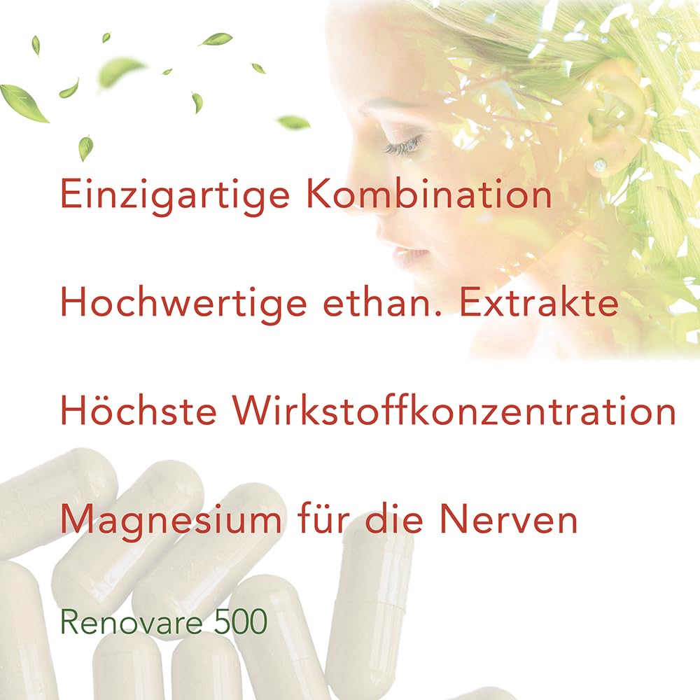 Renovare 500