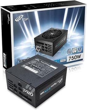 FSP Hydro PTM Pro 750W 80 Plus Platinum Full Modular ATX 12V Power Supply HPT2-750M