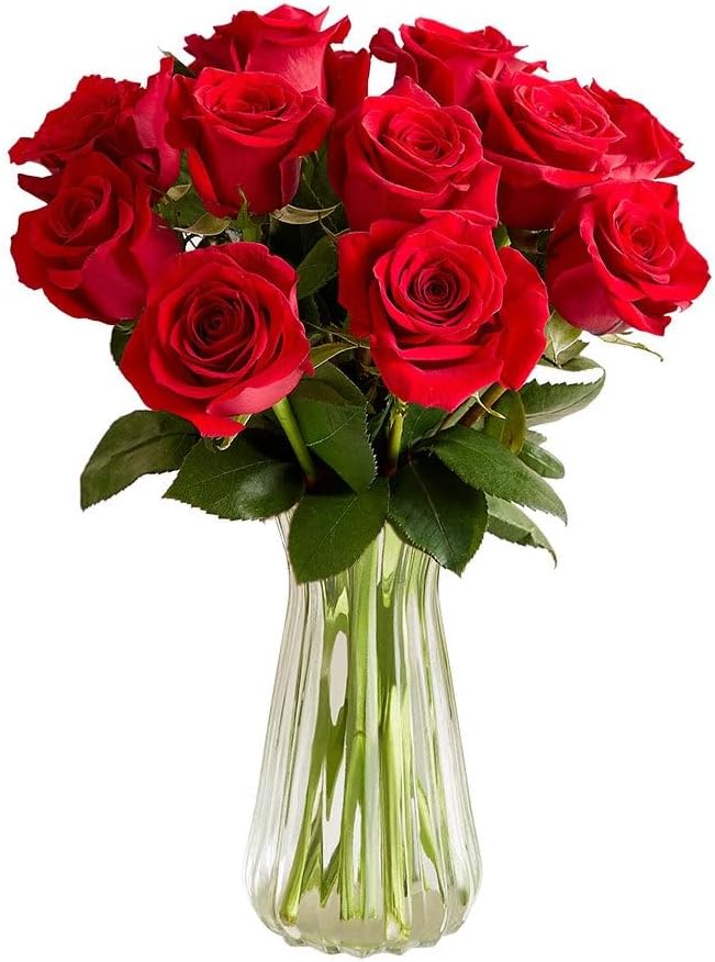 1800 Flowers – 12 Stem Red Roses (Clear Vase Included) | Fresh Cut Spring Flowers for Delivery | Gift for Mother's Day, Anniversary, Sympathy, and Special Occasions