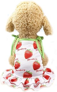 BBEART Pet Clothes,Lovely Summer Fruit Dog T-Shirt Puppy Clothes Dog Skirt Dress Cats Clothes for Small Dogs Cats Puppy (XL-Back Length 40cm, Strawberry Skirt)