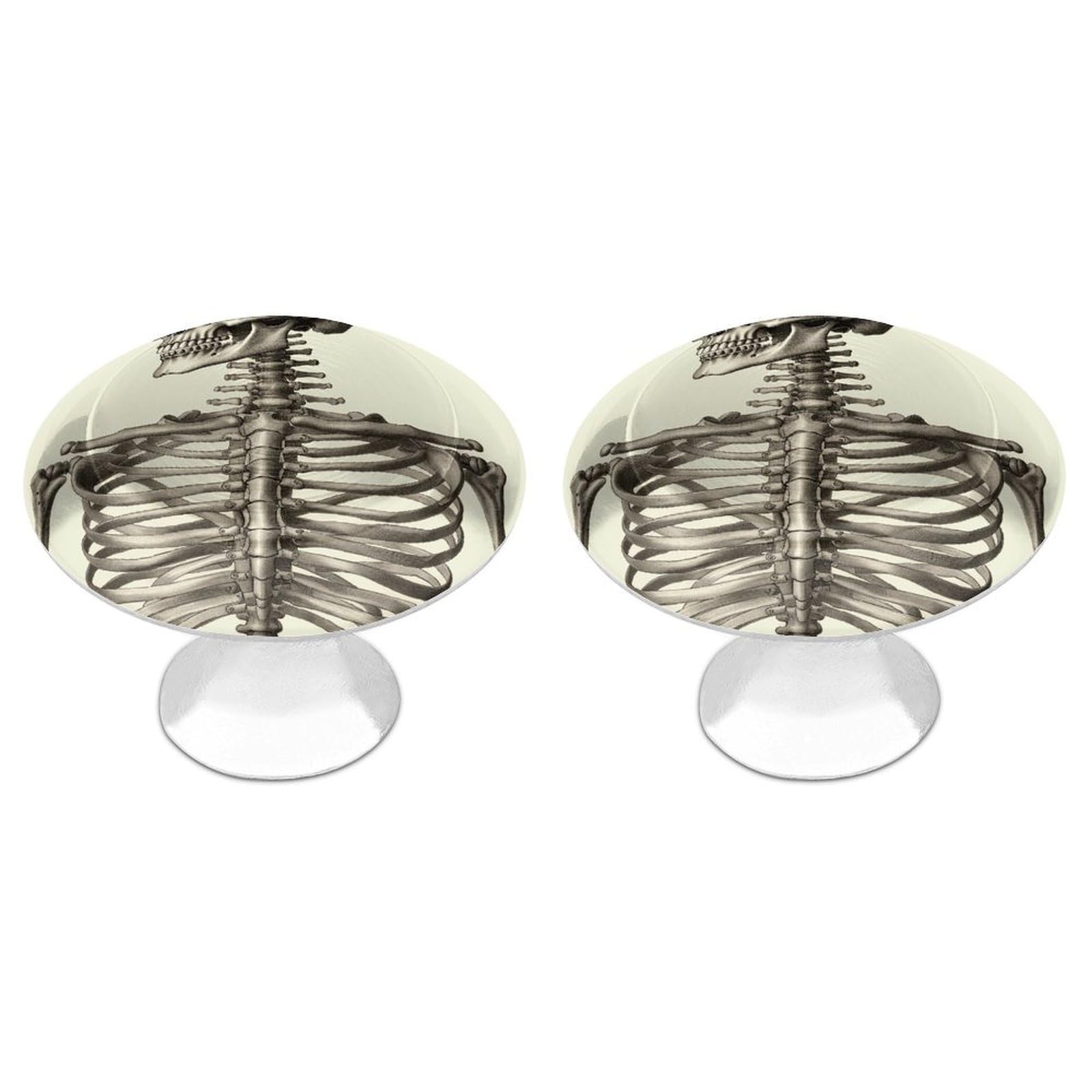 Btcowzrv Style Human Skeleton 2 Pack Cabinet Knobs Drawer Pulls