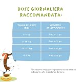 Ver la foto 7