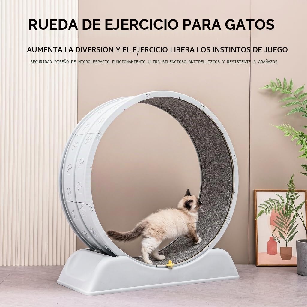 SOONHUA Rueda de correr para gatos de 80 cm con freno de seguridad, Rueda para gatos estable para gatos domésticos, Rueda de correr para gatos con alfombrilla extraíble