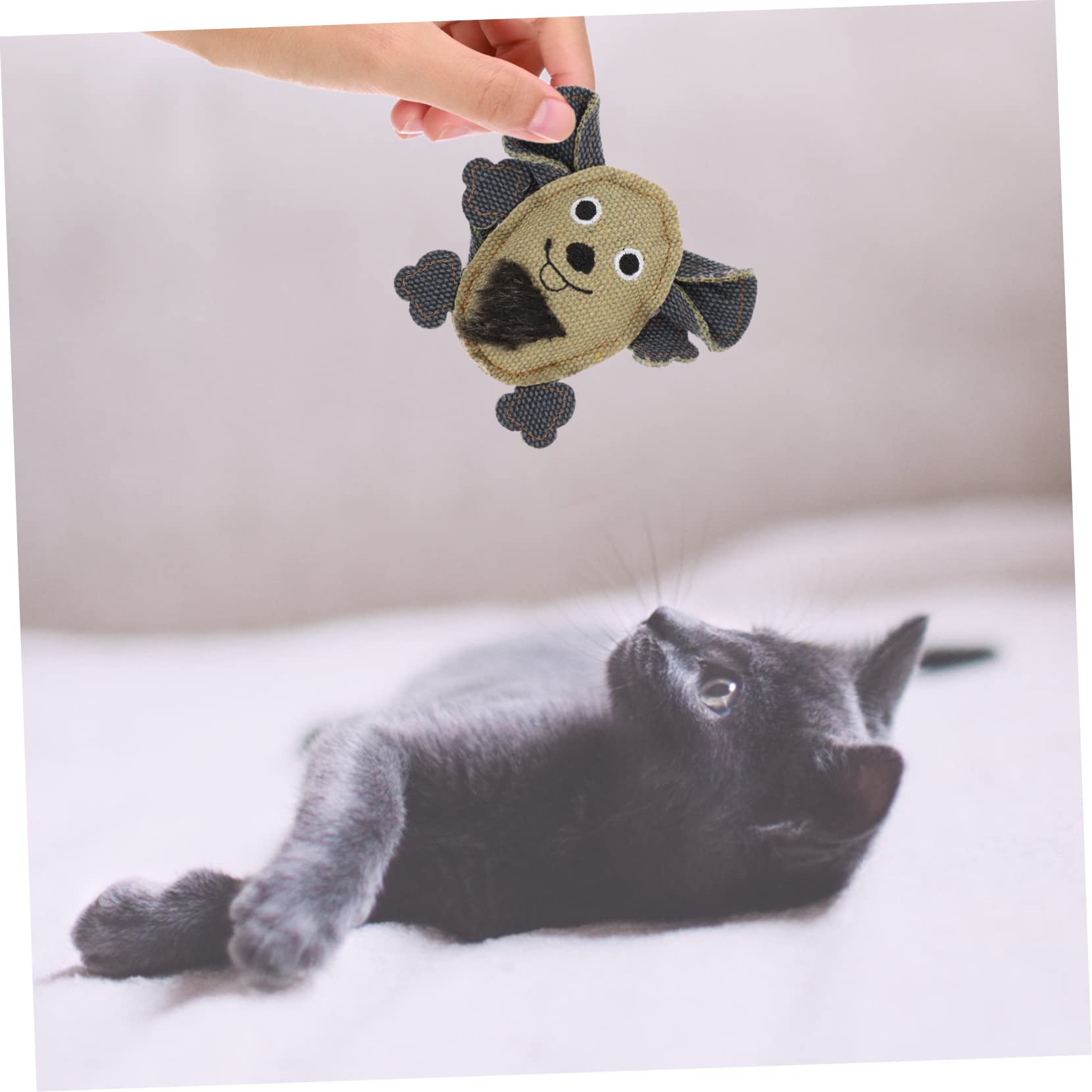 POPETPOP 15pièces Jouets pour Chats Toile De Souris Longues Et pour Chats Jouets Interactifs pour Éveiller Et Amuser Intérieur