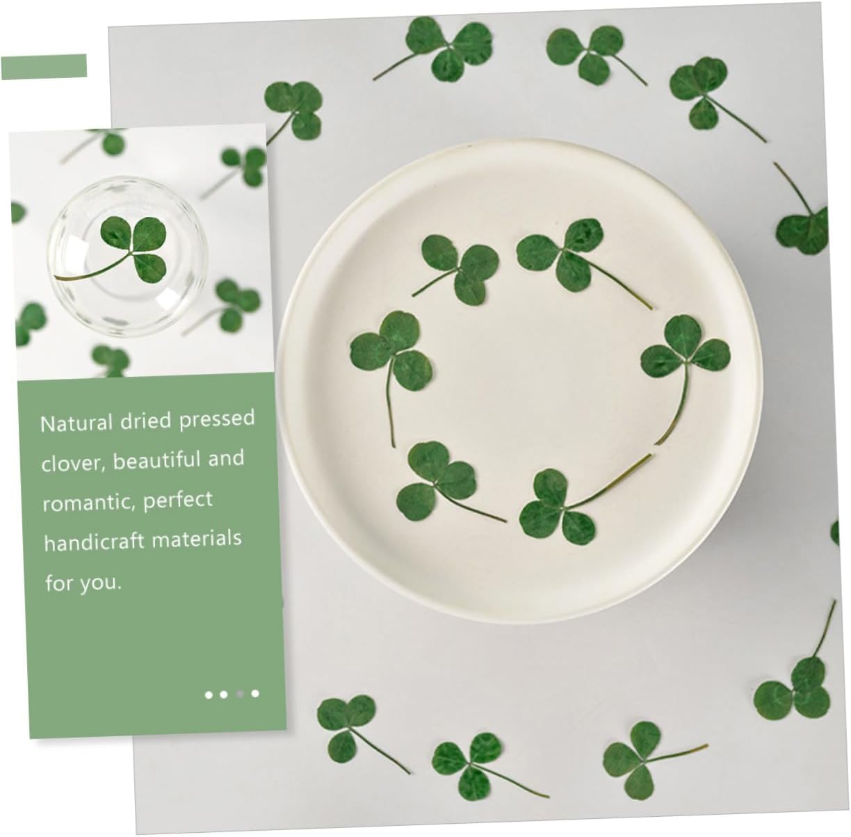 Mobestech 24pcs Dried Pressed Clover Leaves Green Dyed DIY Craft Accessories Handmade Floral Material for Scrapbooking Bookmarks and Resin Art