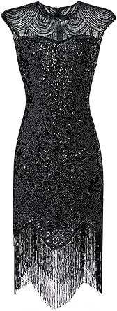 Amazon.com: Flapper Dresses for Women, 1920S Vintage Roaring Costume