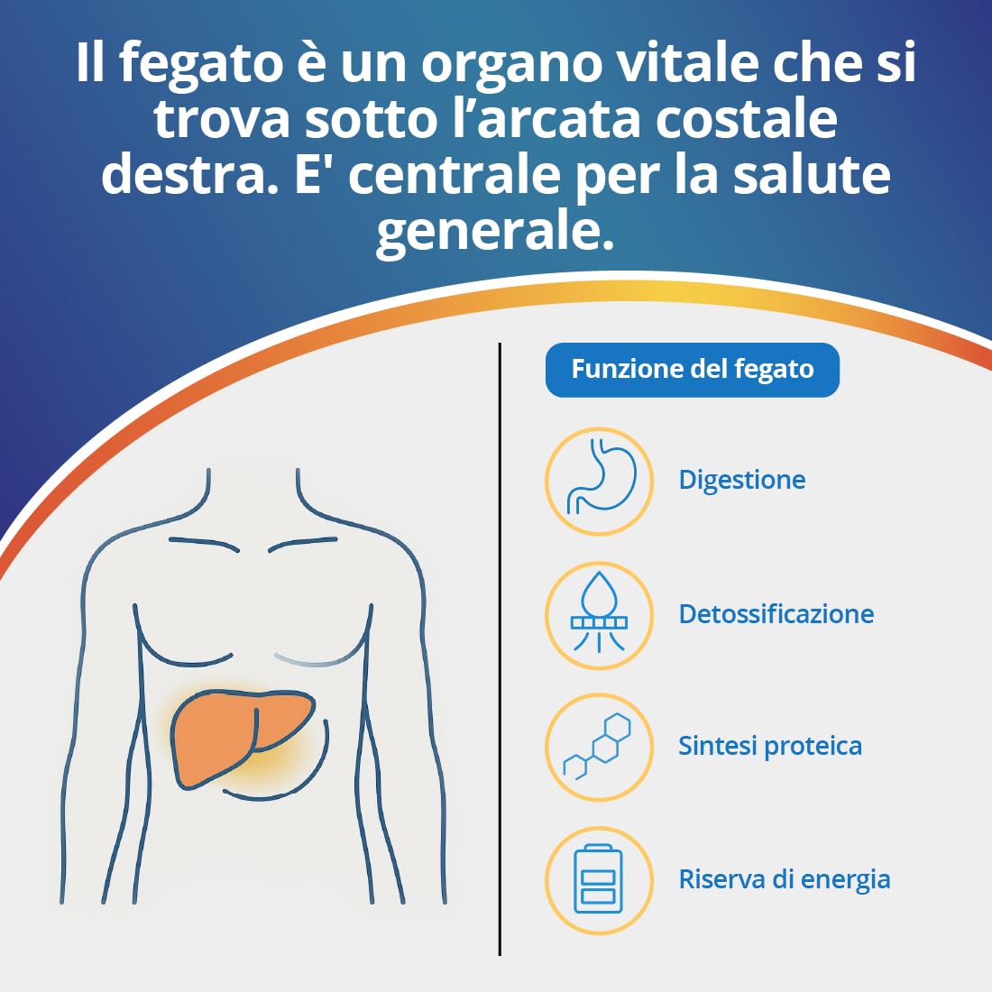 TEST FEGATO Adeste - Rapido fai da te per la rilevazione di problemi al fegato. Confezione da 2 test