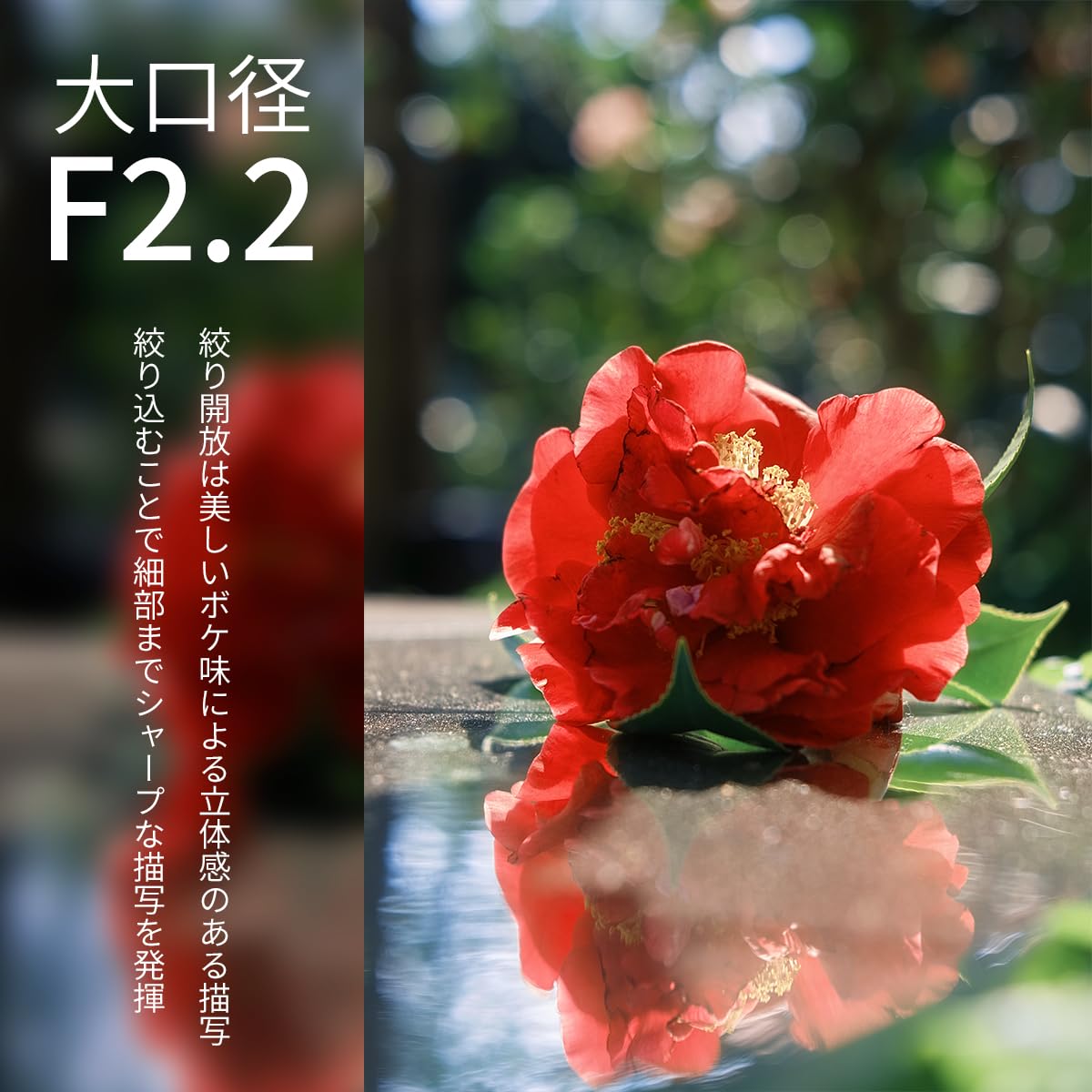 Amazon.co.jp: SG-image AF 35mm F2.2 フルサイズ対応 Zマウント