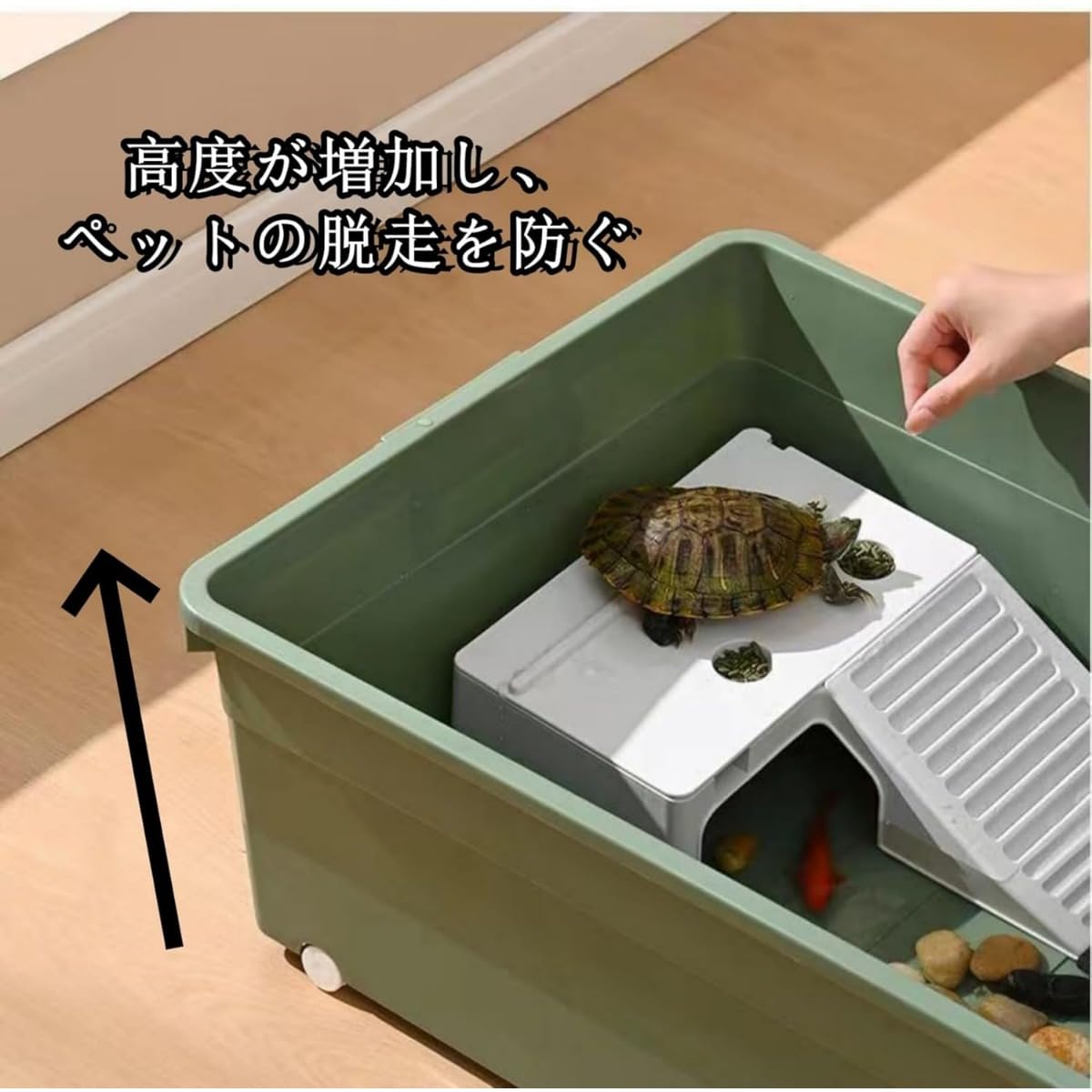 亀大き目サイズ　蓋無し Amazon | COZENTA 亀 水槽 飼育ケース ケージ 高台 蓋付き アクリル製