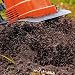 WilTec Motocultor eléctrico para jardín 1500W 200rpm Motoazada Rotavator Jardinería Huerto Cultivar...