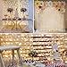 LE Fairy Curtain Lights Battery Operated & USB Plug in, Remote 10 x 10 ft Hanging String Lights for Bedroom Wall, 300 LED Indoor Outdoor Twinkle Lights for Wedding Party Backdrop Tent, Patio, Gazebo