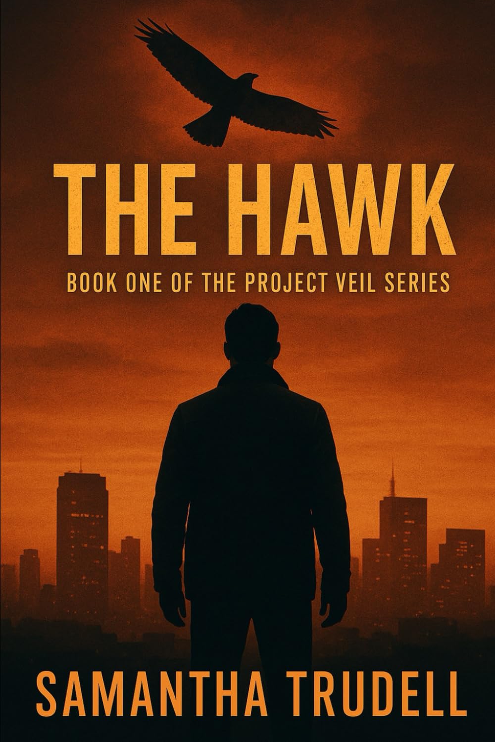 The Hawk: Book one of the Project Veil Series: 1