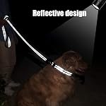 FunTags 6FT Black Reflective Dog Leash for Large & Medium Dogs Walking, Soft Padded Handle Comfortable Grip, Heavy Duty Nylon, Reflective for Night Walking, 1in Wide