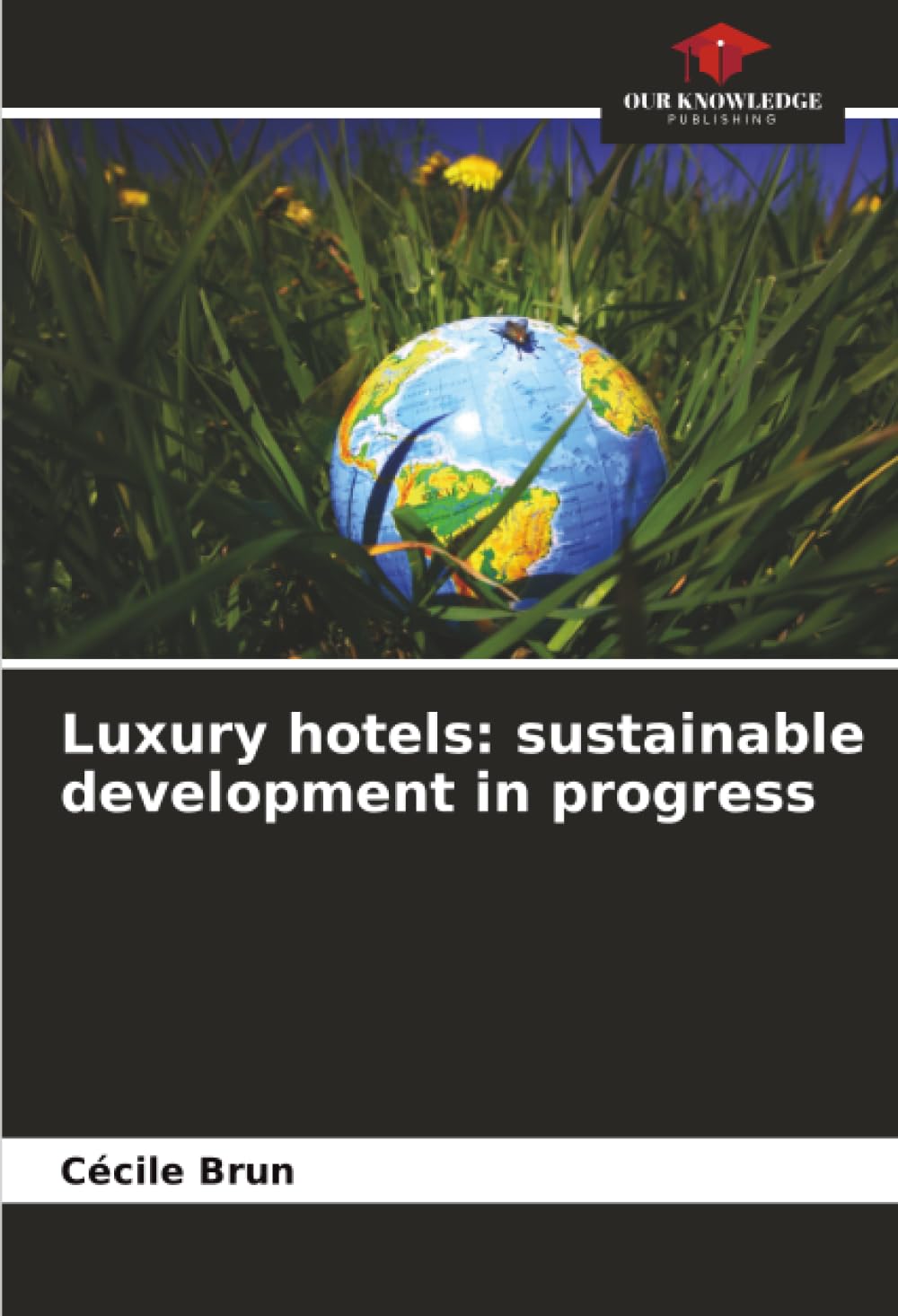 Luxury hotels: sustainable development in progress