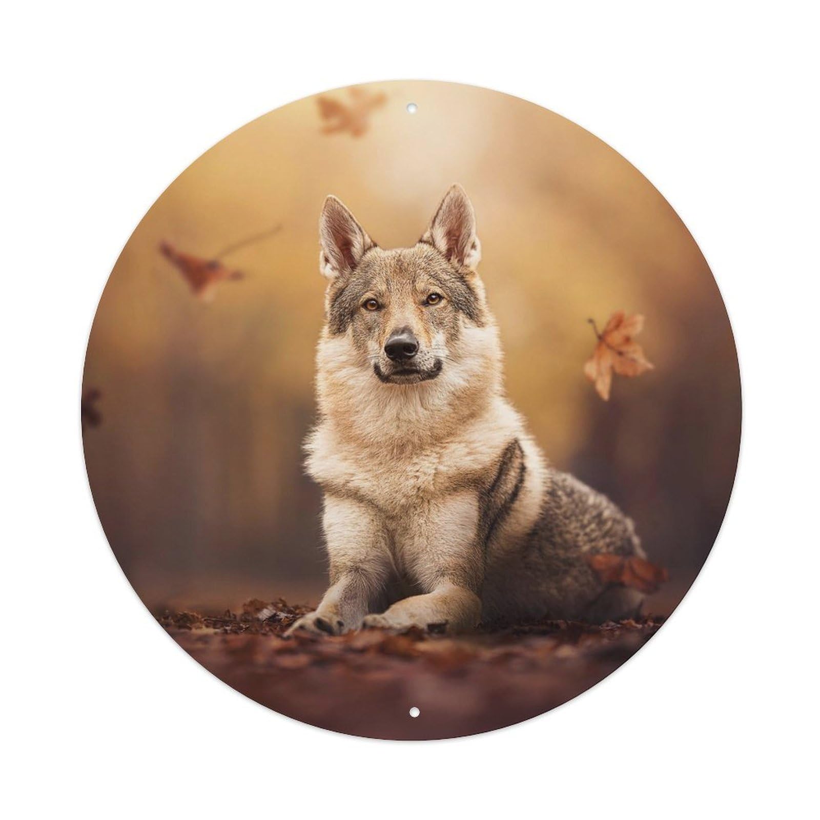 Animal Czech Wolfhound in Maple Grove Metal Tin Sign