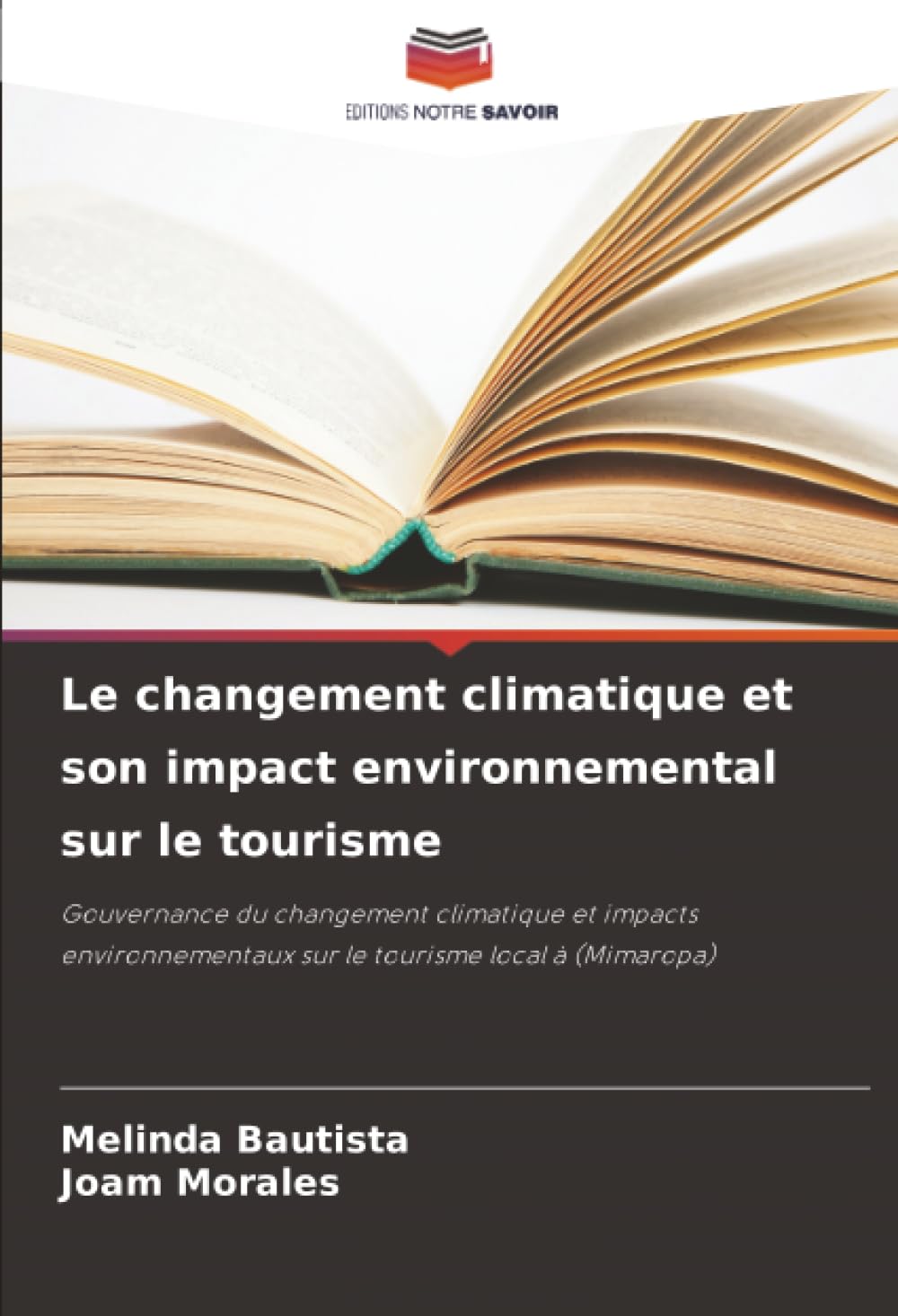 Le changement climatique et son impact environnemental sur le tourisme: Gouvernance du changement climatique et impacts environnementaux sur le tourisme local à (Mimaropa)